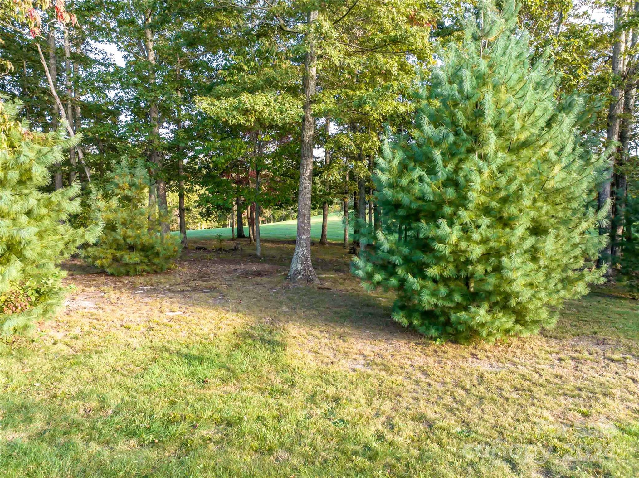 337 Chukar Way Lot 21