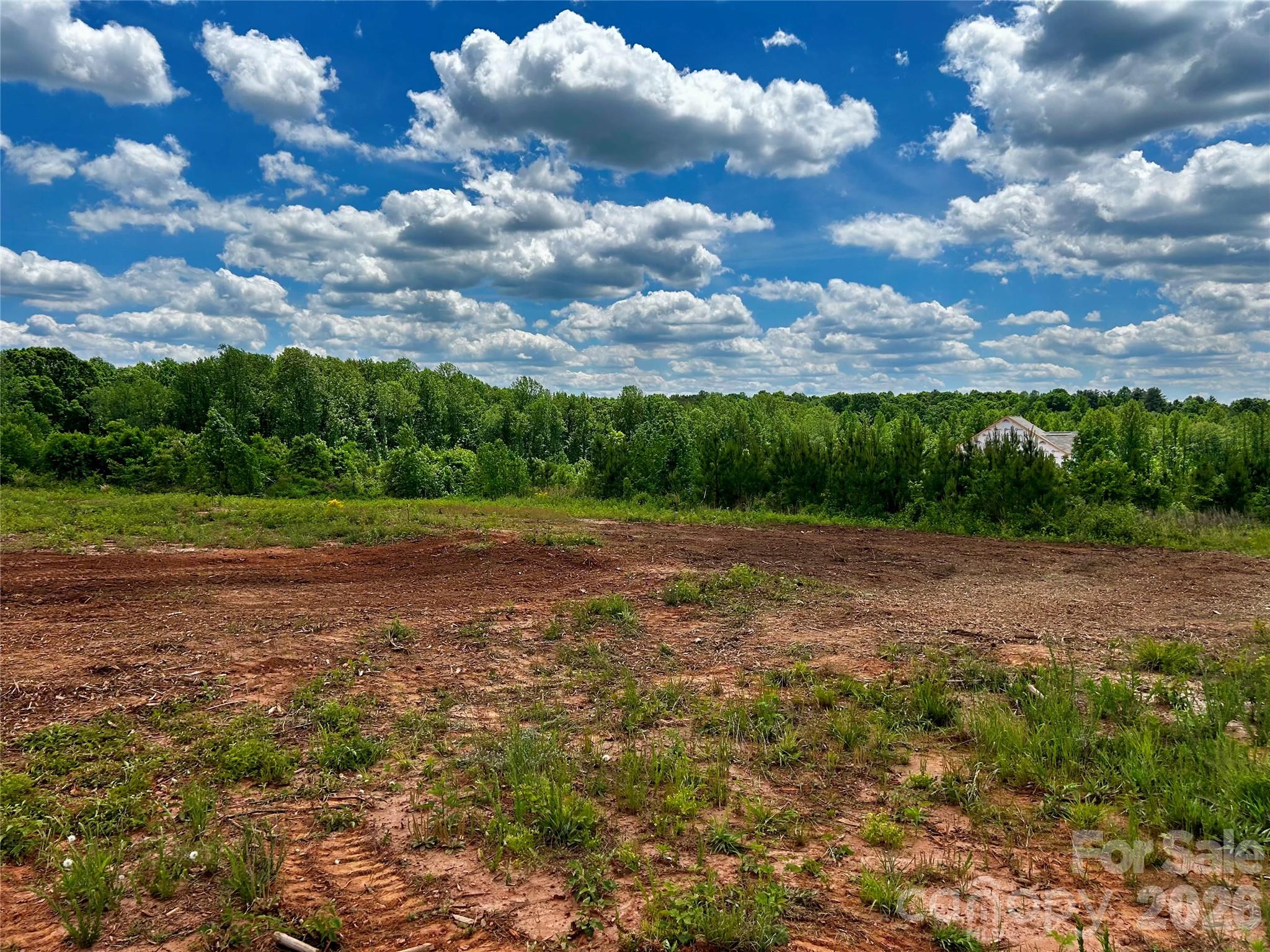 McCurry Farms - Land