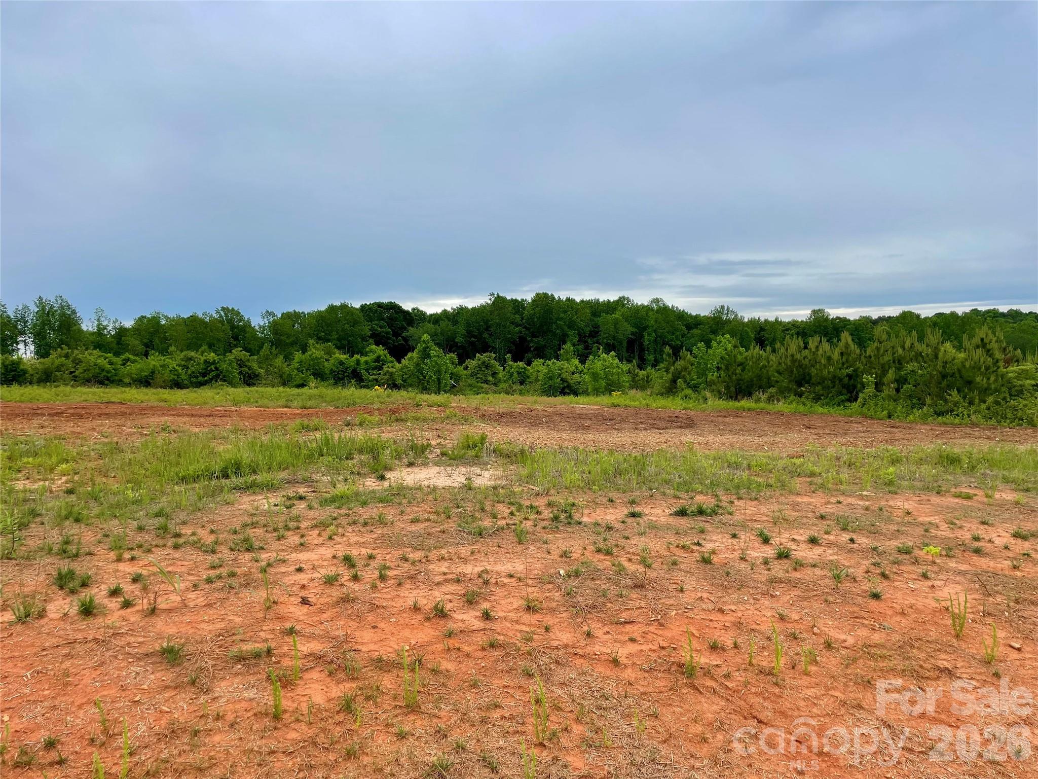 McCurry Farms - Land