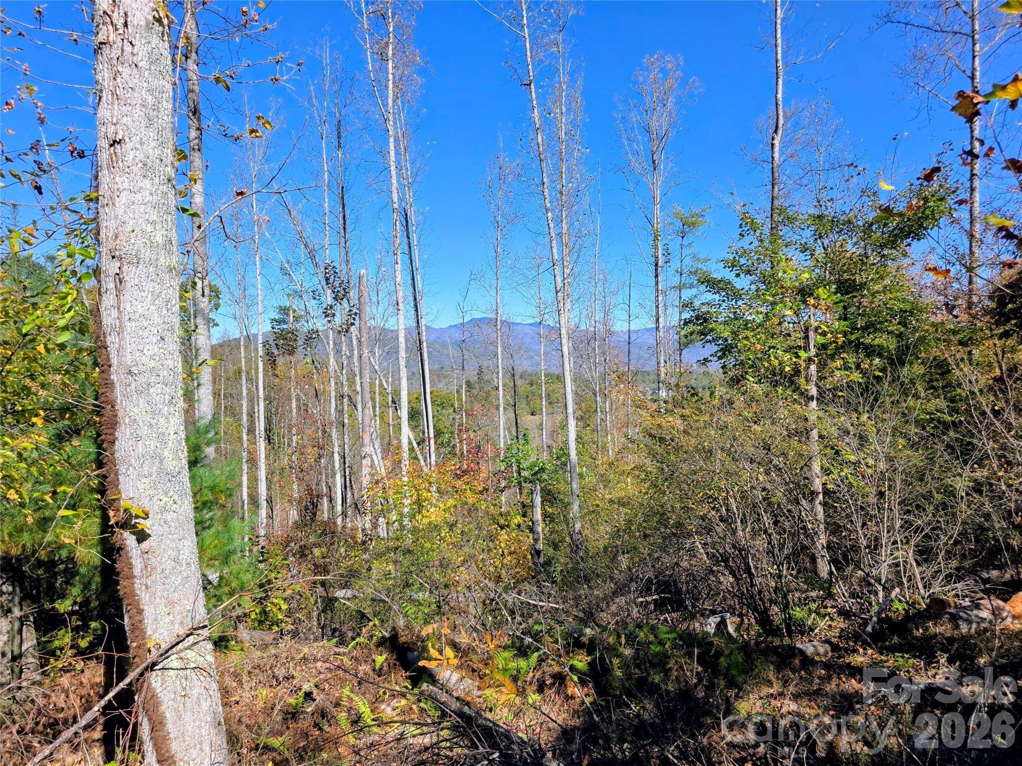 00 Big Brush Creek Road