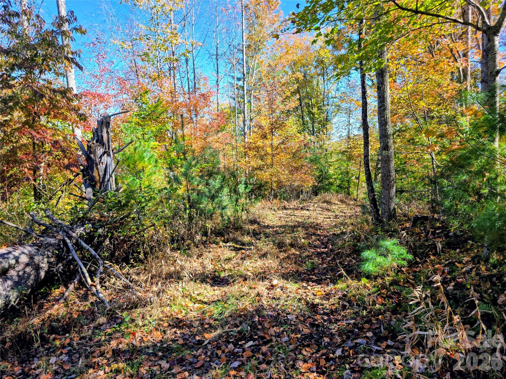 00 Big Brush Creek Road