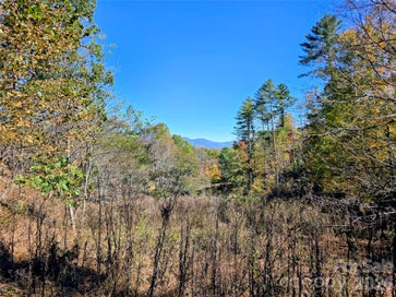 00 Big Brush Creek Road Green Mountain NC 28740