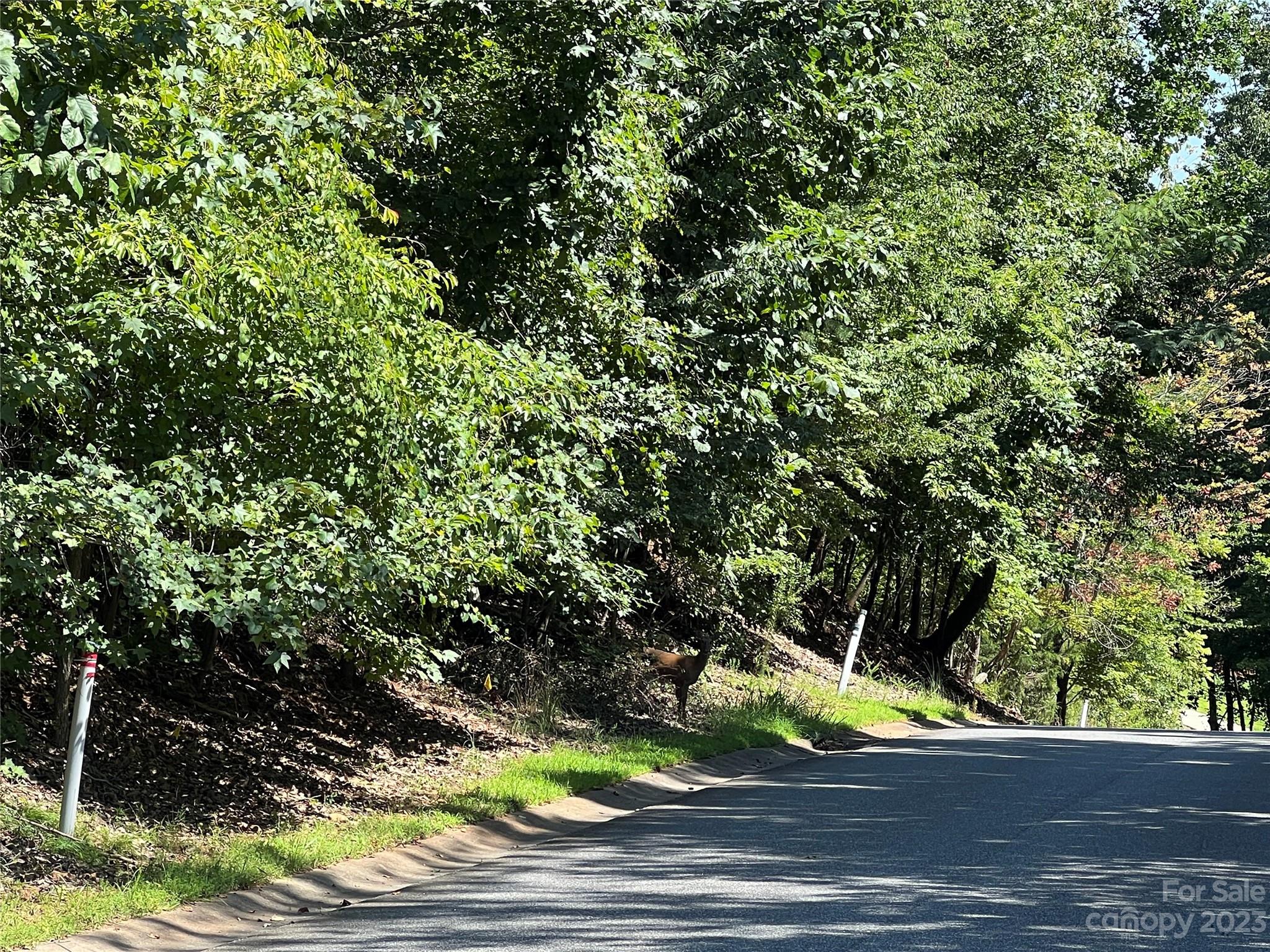 214 Mays Mills Drive