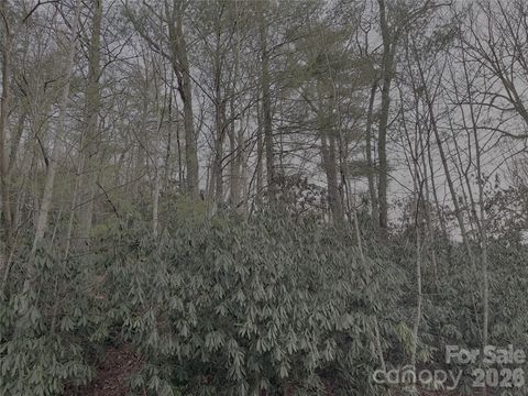 742 Zelda Court 71 Hendersonville NC 28792