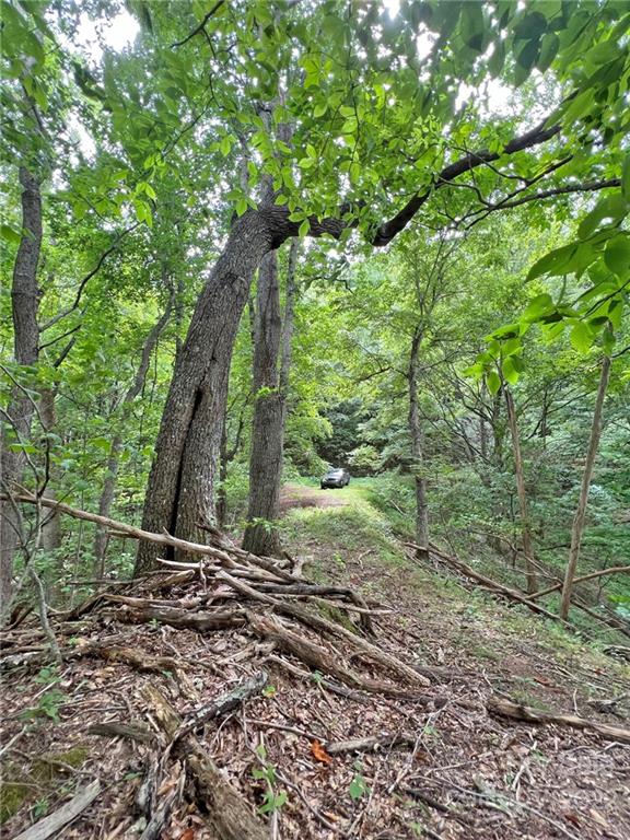 Sunset Mountain - Land