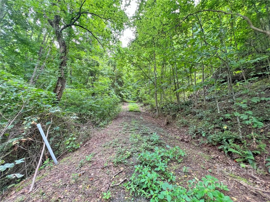 Sunset Mountain - Land