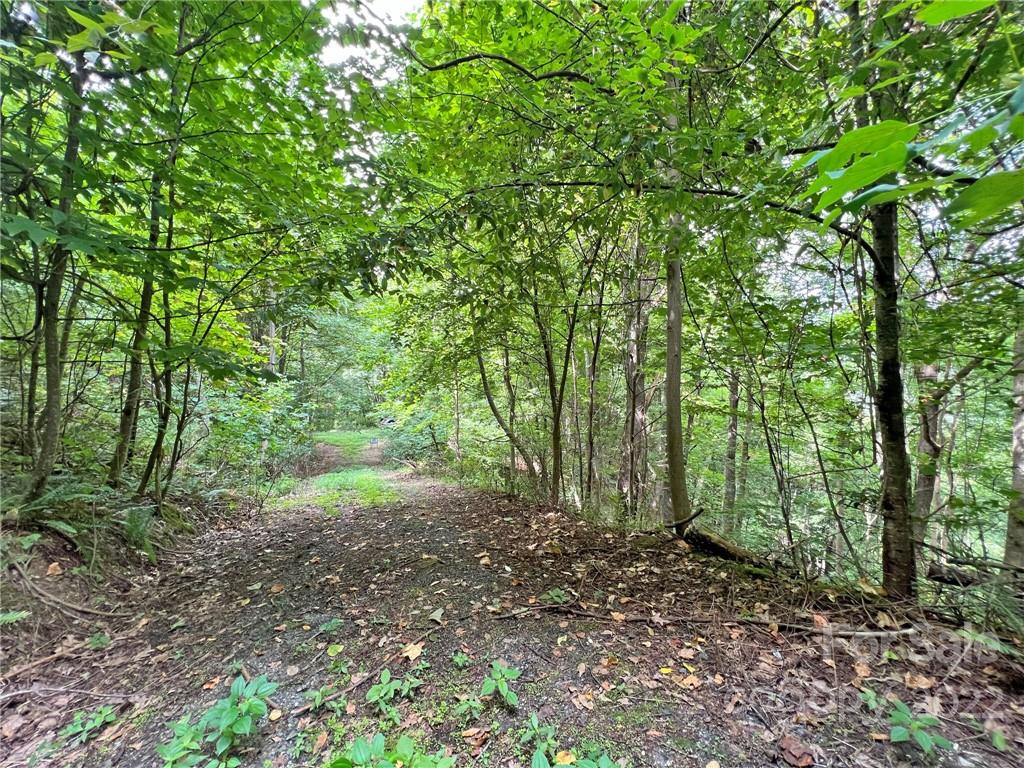 Sunset Mountain - Land