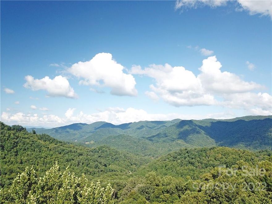 11+ acres with long range mountain views with just some clearing. Great level homesite. Underground power installed and driveway is already completed to the home site. Fiber internet being installed in the area now. Large old growth trees. Septic system permit has been approved. Everything is ready for your mountain home retreat! Near National Forest and 20 minutes to Hot Springs. Complete privacy in a pristine natural setting.