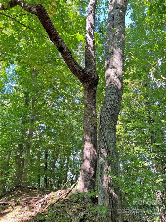 Sunset Mountain - Land