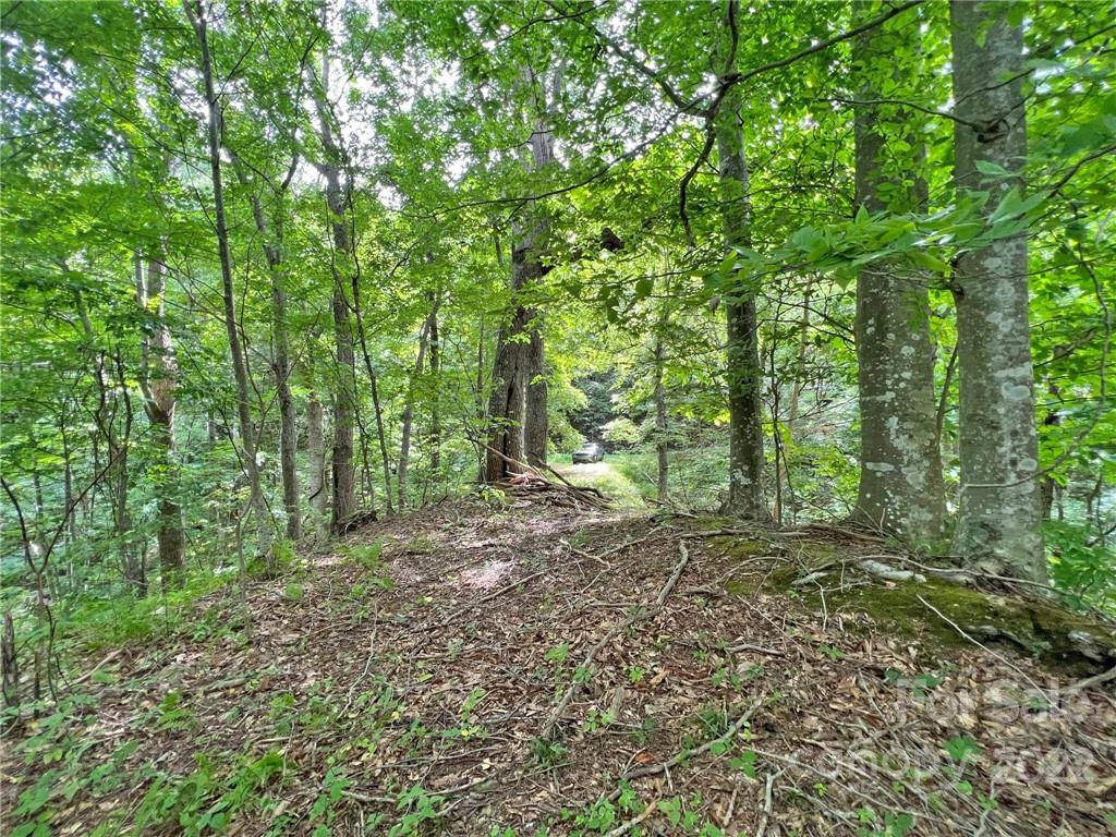 Sunset Mountain - Land