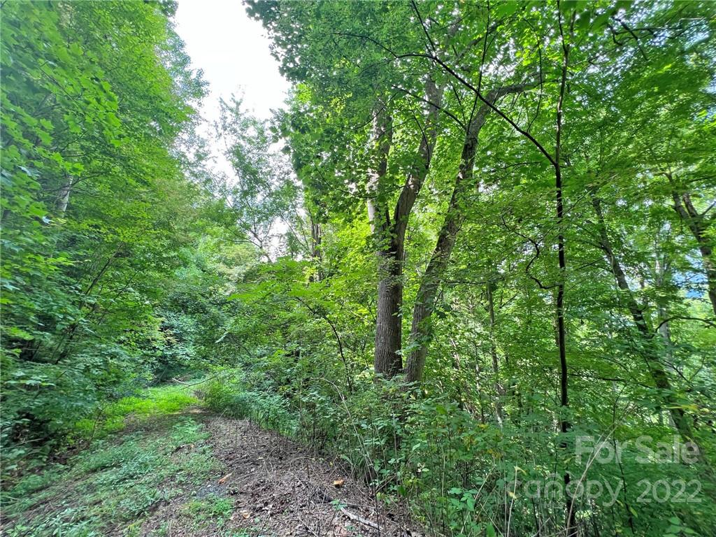 Sunset Mountain - Land