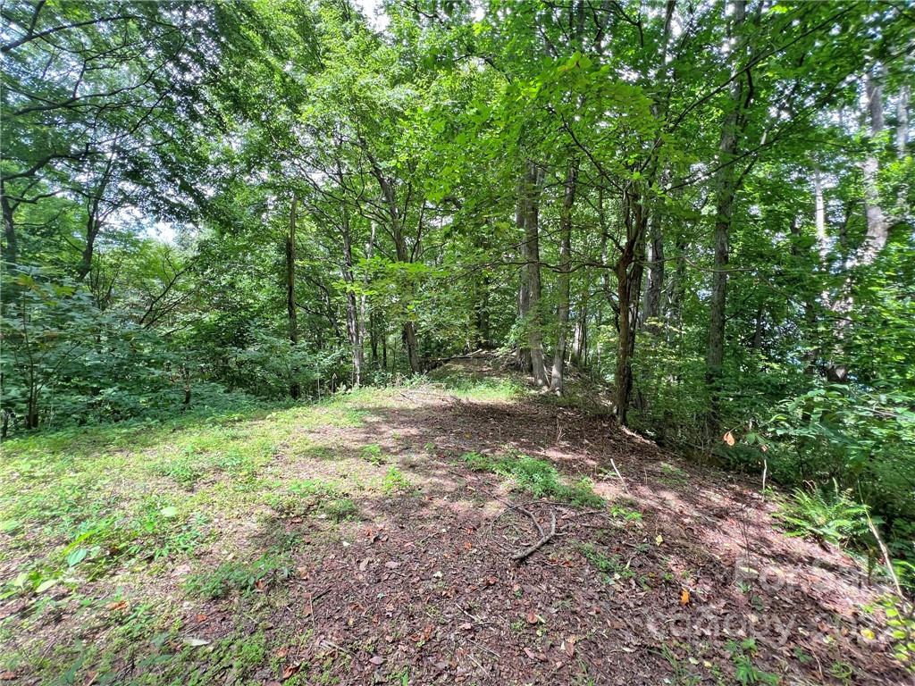 Sunset Mountain - Land