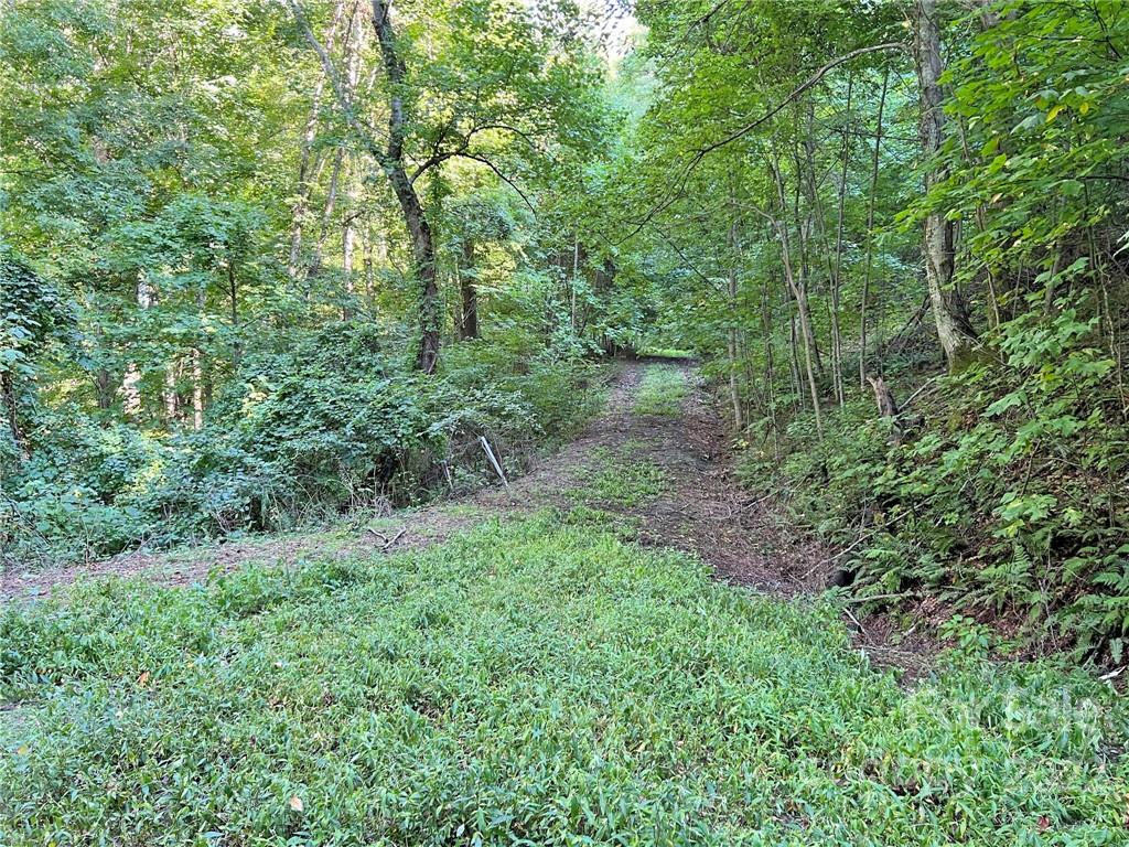 Sunset Mountain - Land