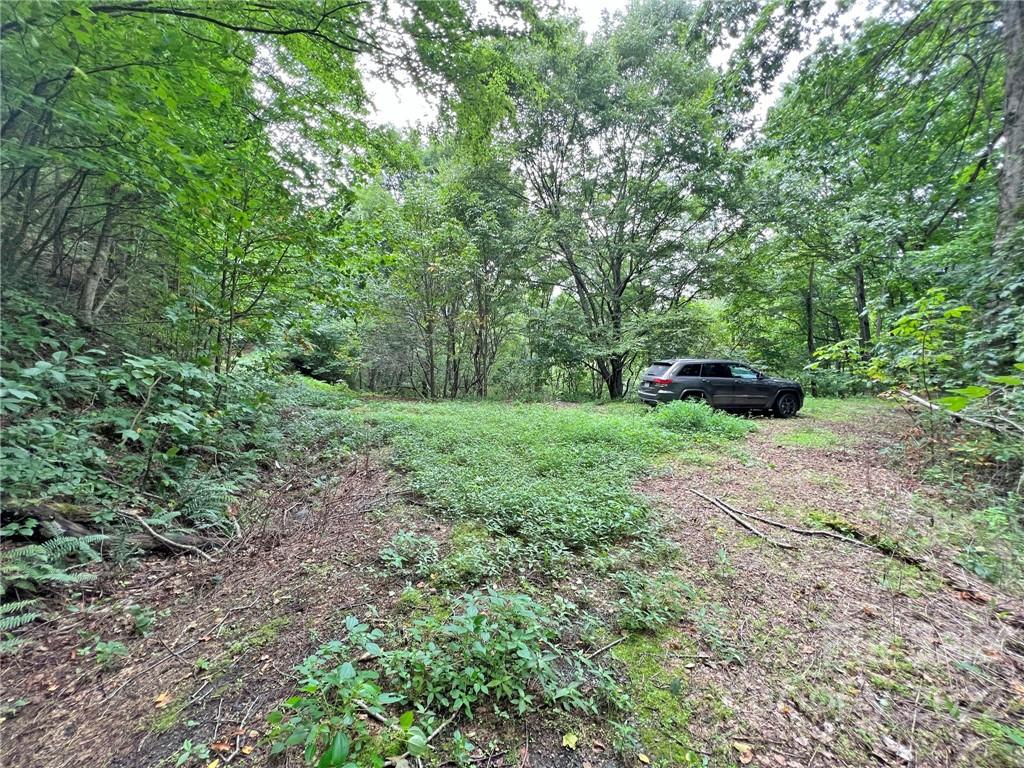 Sunset Mountain - Land