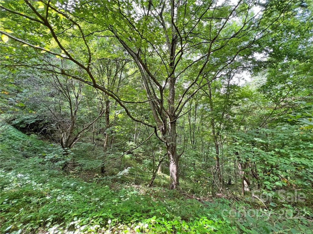 Sunset Mountain - Land