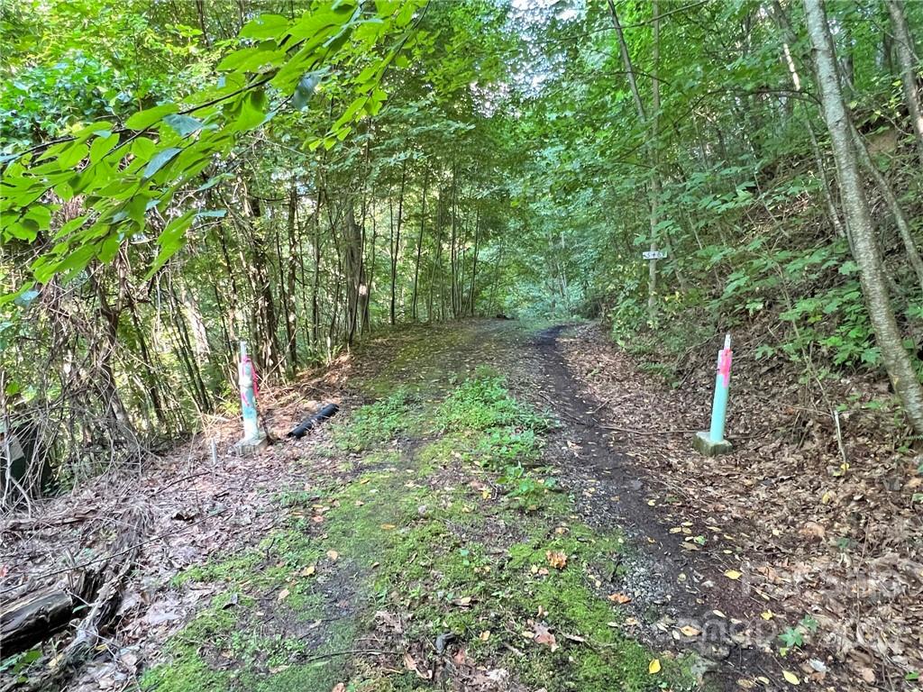 Sunset Mountain - Land