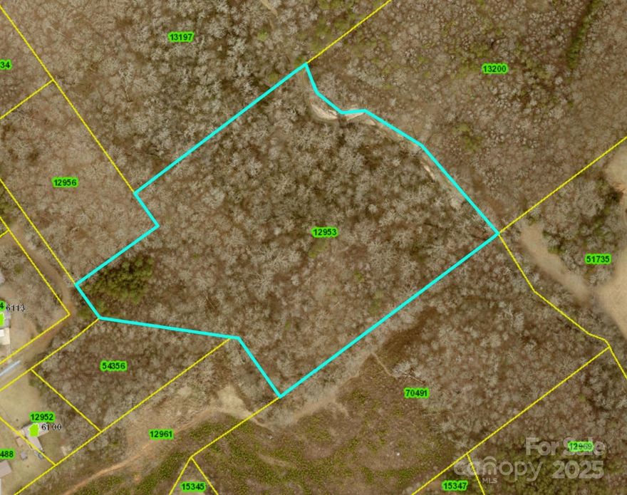 Escape to nearly 12 acres of pure privacy where nature takes center stage. This wooded tract offers a beautiful blend of mature trees, rolling natural scenery, and the peaceful flow of Howards Creek forming the back border of the property. It’s an ideal setting for anyone looking for seclusion, recreation, or a future homesite surrounded by the sights and sounds of the outdoors. Located in the desirable West Lincoln school district, this acreage provides a rare opportunity to enjoy space, tranquility, and a truly natural backdrop. Whether you’re dreaming of a retreat or simply a quiet slice of the countryside, this property delivers a remarkable sense of escape. Partial flood zone.