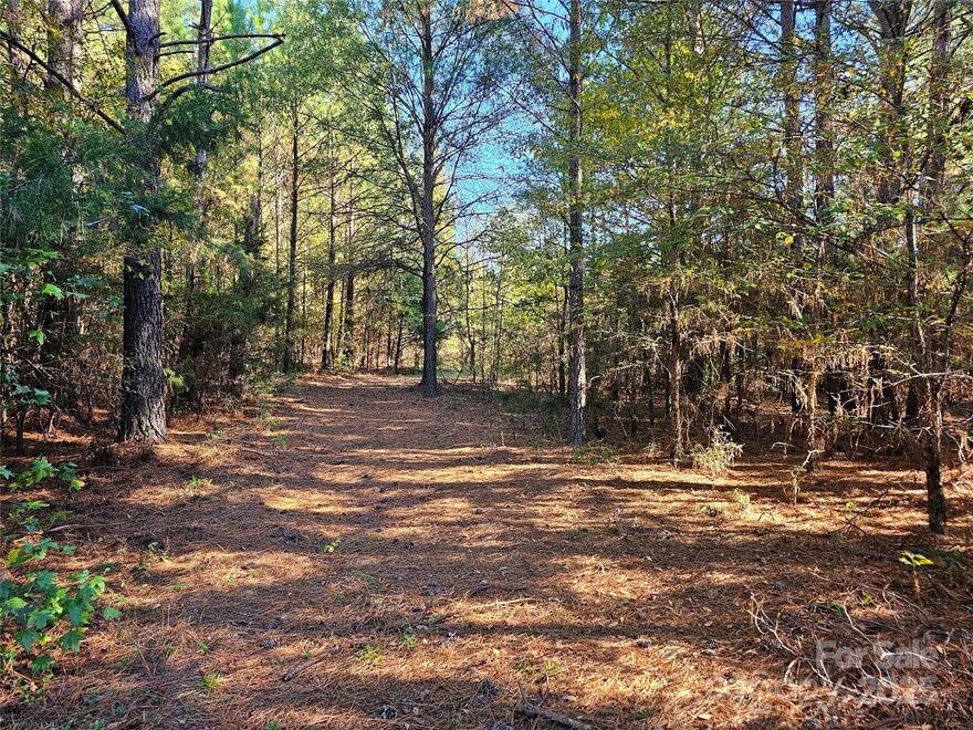 136 acres of investment opportunity with more than 2300 feet of frontage along SC 9 (Lancaster Hwy) located less than one mile west of Fort Lawn, SC (home of E & J Gallo Winery's large East Coast distribution and manufacturing facility) and less than eight miles east (Exit 62 or 65) of the Interstate 77 corridor connecting Charlotte, NC to Columbia, SC.  Close proximity to the Catawba River and Fishing Creek.

This property has been held in the same family since the late 1880's.  There is one brick/block building located on SC 9 considered at no value; however, this building could be rehabbed and suitable for a small business opportunity.  The real value is the substantial road frontage along SC 9 and the total mass.  Previously long-term leased (not active) for hunting with three gate access points on Cemetery Road, well established hunting roads throughout and open fields.   Long ago, this tract was part of a cattle farm.  It has grown naturally into dense woodlands with an abundance of wildlife.  Seller will not subdivide.  

Buy/hold/subdivide/build/hunt/enjoy... what a deal.