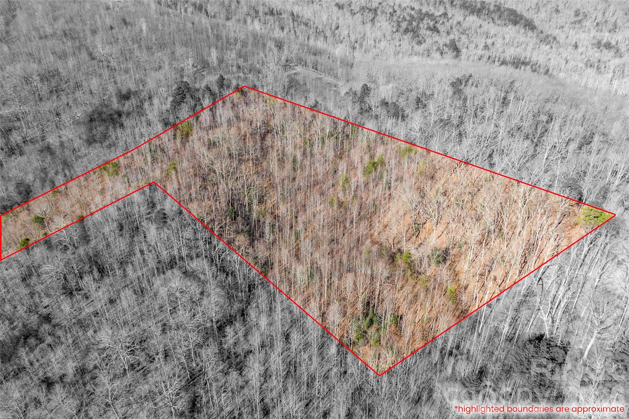 Cherry Mountain Trail - Land