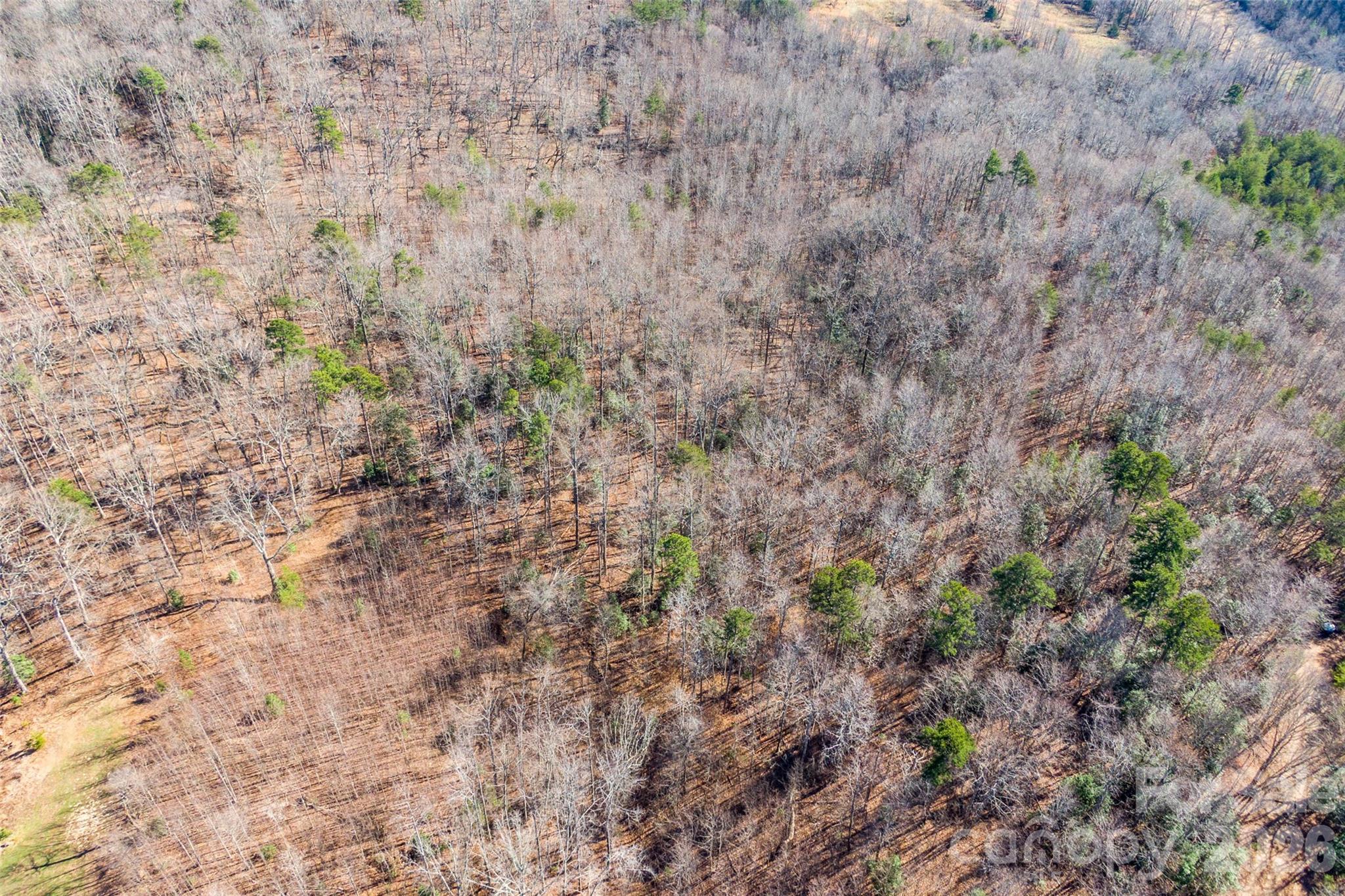 Cherry Mountain Trail - Land