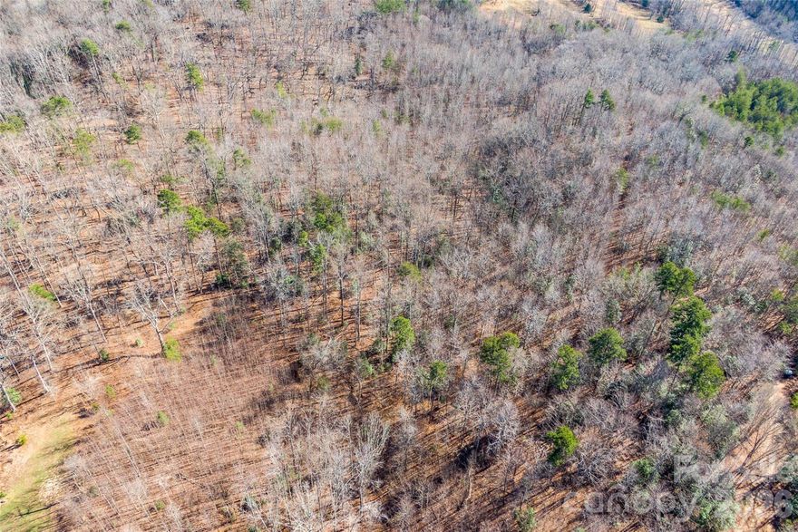 Tucked away in the peaceful Cherry Mountain Trails community, this beautiful 1.52-acre vacant lot offers the perfect blend of privacy and natural charm, along with stunning long-range views. A gentle creek runs through the property, enhancing the serene setting surrounded by lush woods and scenic beauty. Located off the beaten path, this lot is ideal for those seeking a quiet retreat while still being within a reasonable drive to nearby towns. With a minimum 1,400 sq ft build requirement, this property provides an excellent opportunity to create your dream home designed to take advantage of the tranquil environment and expansive views. If you’re looking for seclusion, nature, and a picturesque setting, this lot is a must-see.