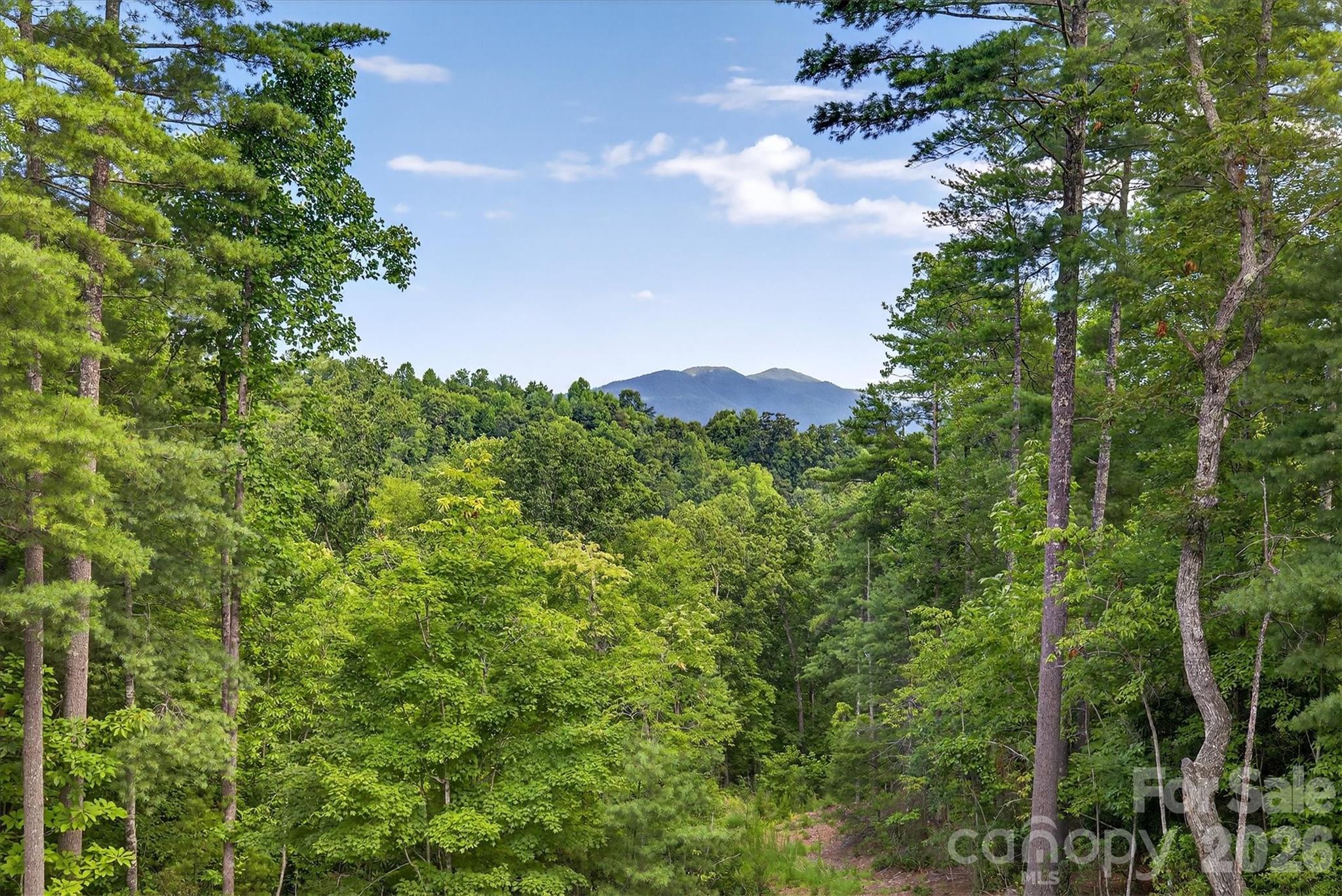 The Arbor at Lake James - Residential