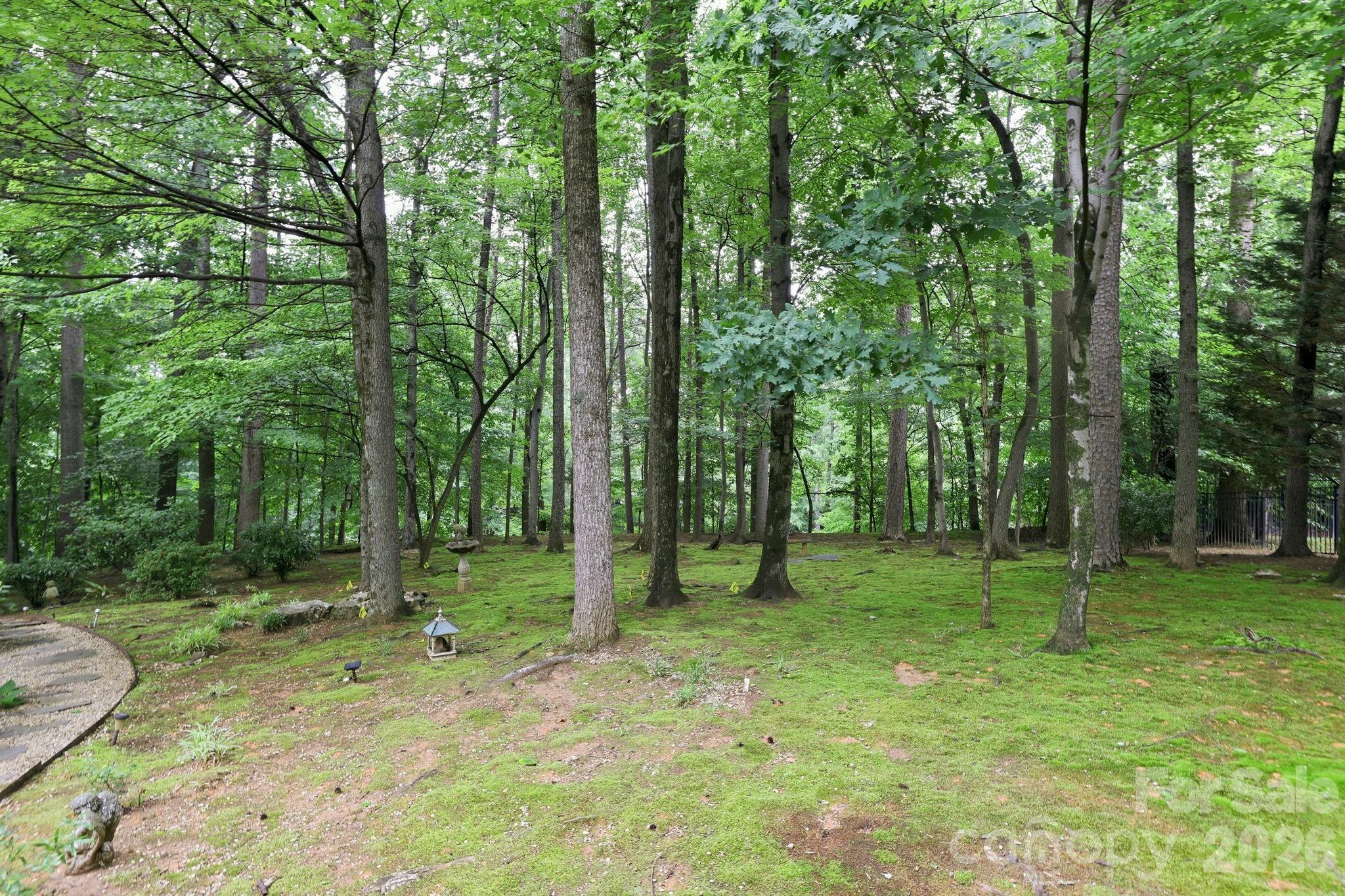 Pinsto Forest - Residential