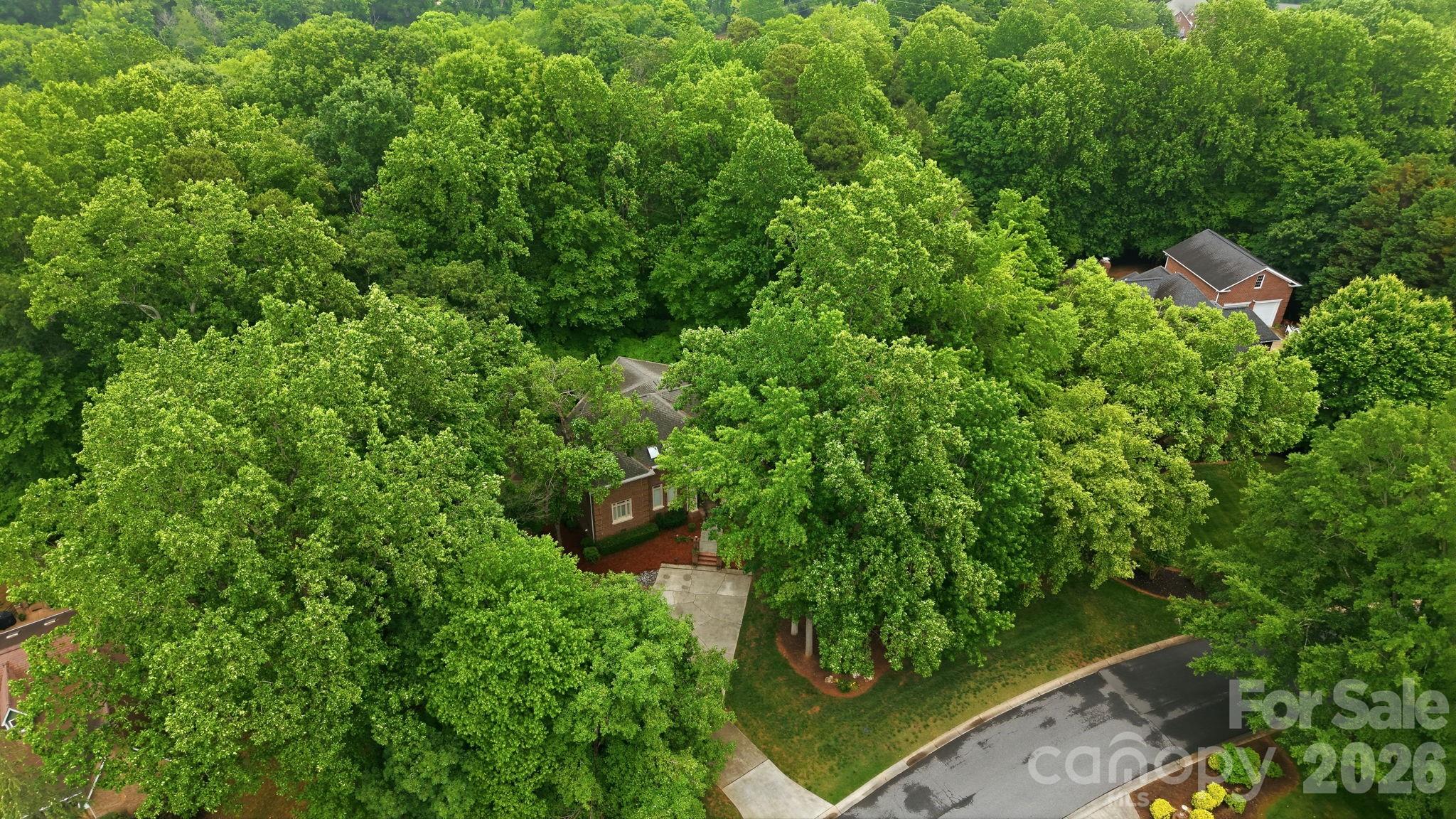 Pinsto Forest - Residential