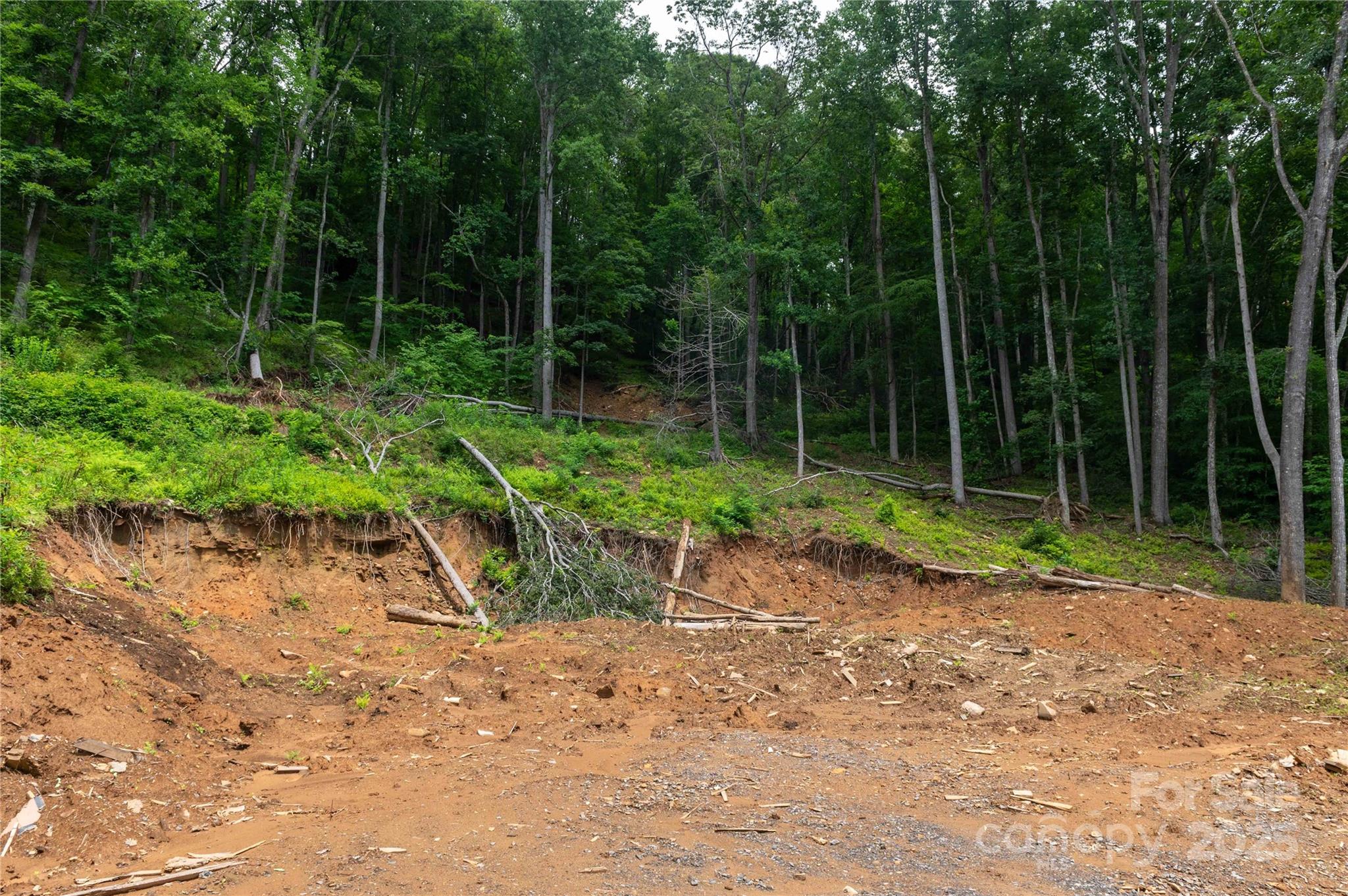 Mount Mitchell Lands - Land