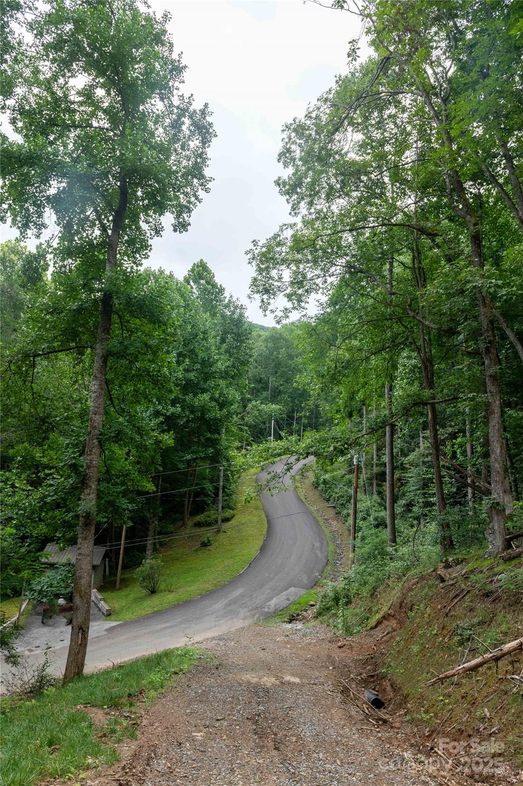 Mount Mitchell Lands - Land