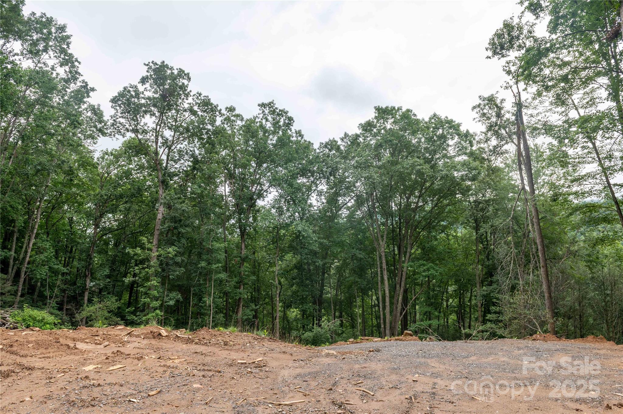 Mount Mitchell Lands - Land