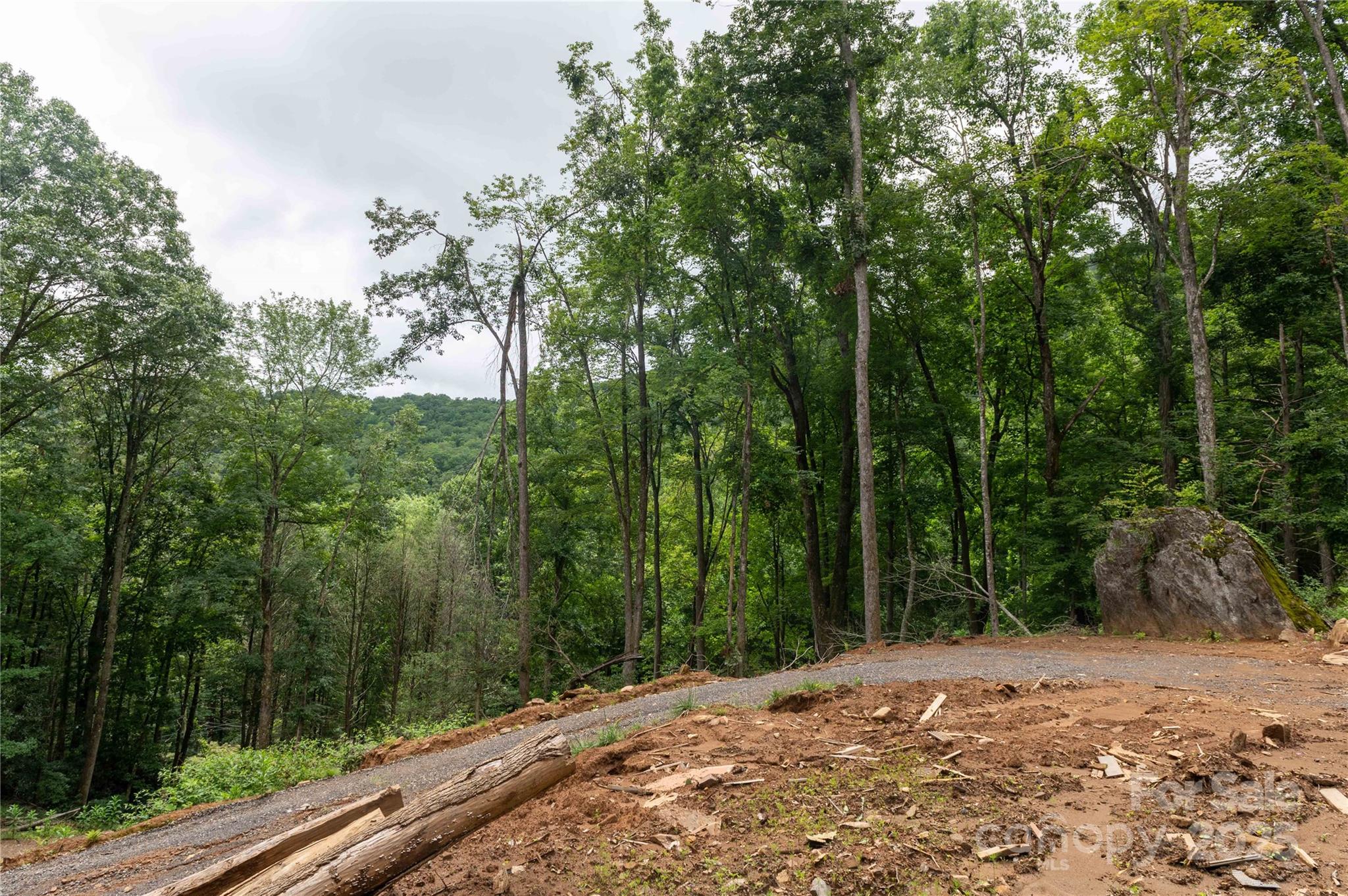 Mount Mitchell Lands - Land