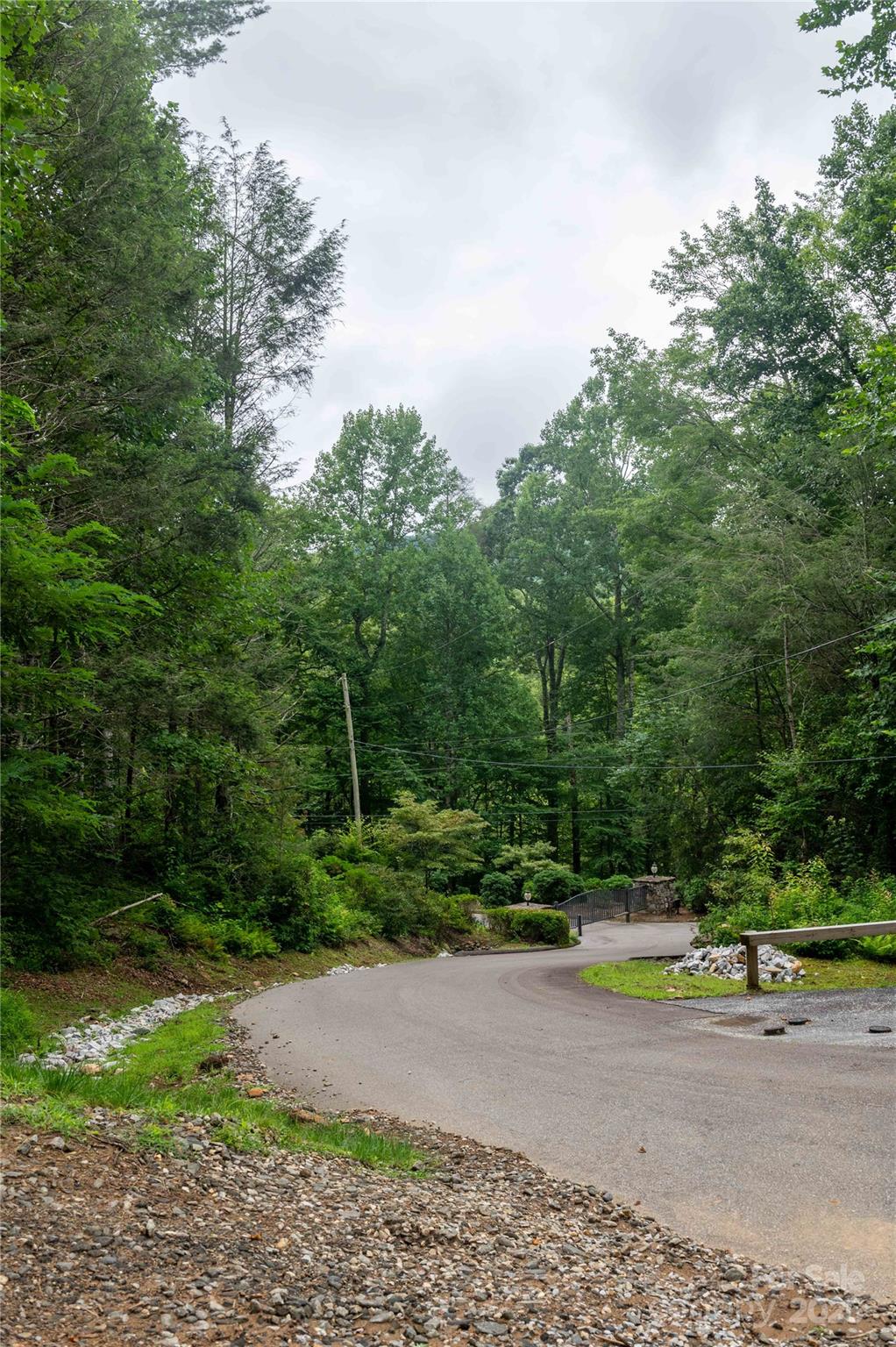 Mount Mitchell Lands - Land