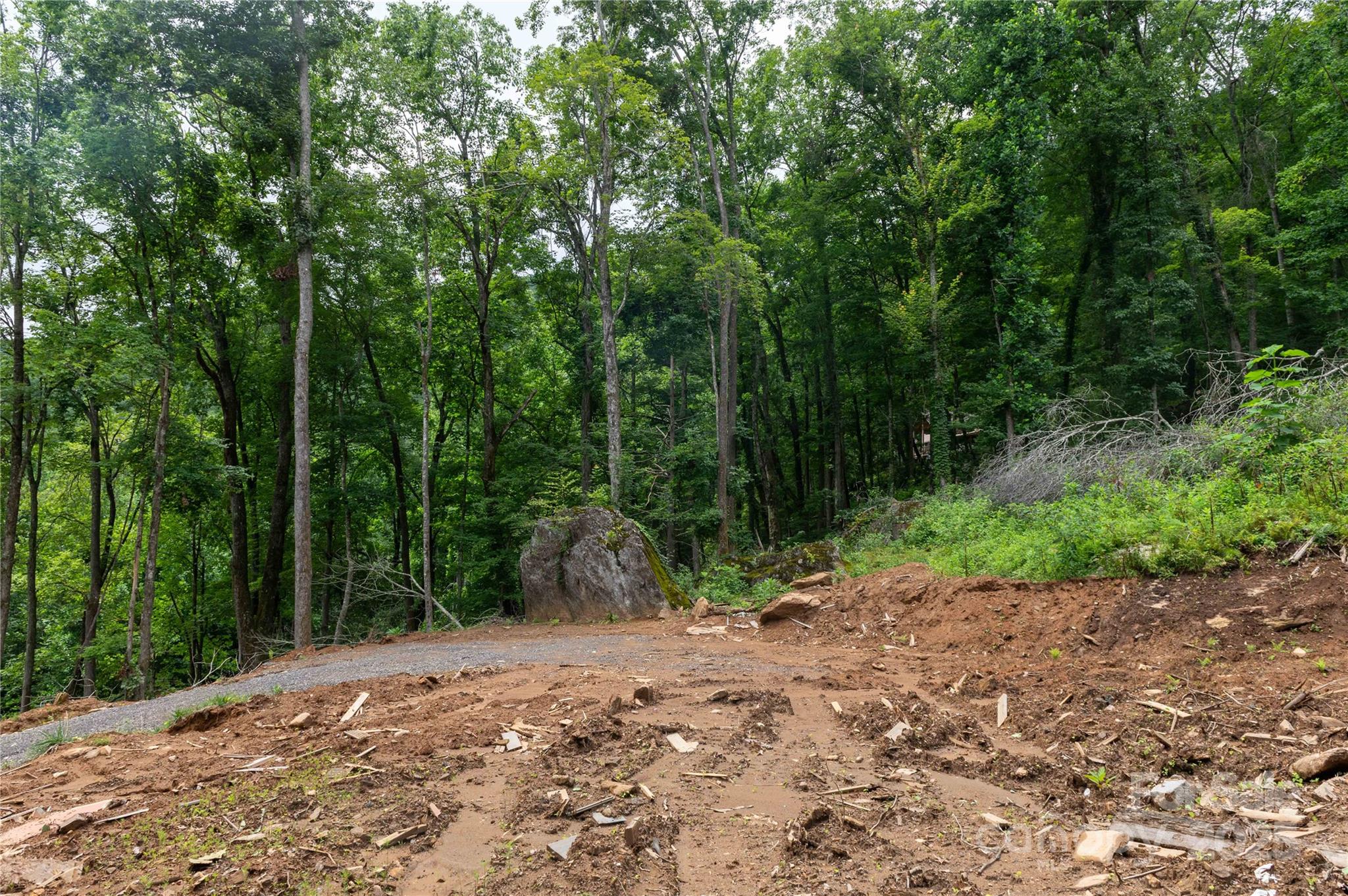 Mount Mitchell Lands - Land