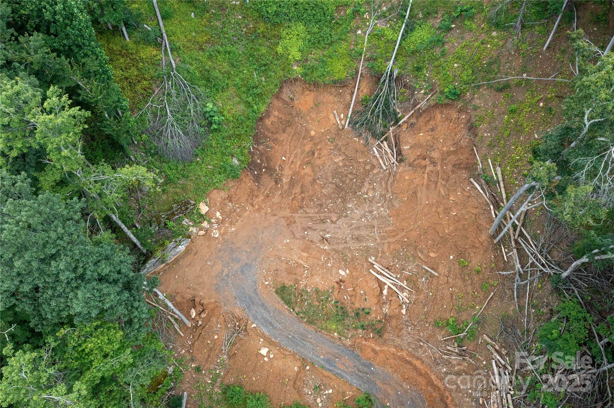 Mount Mitchell Lands - Land