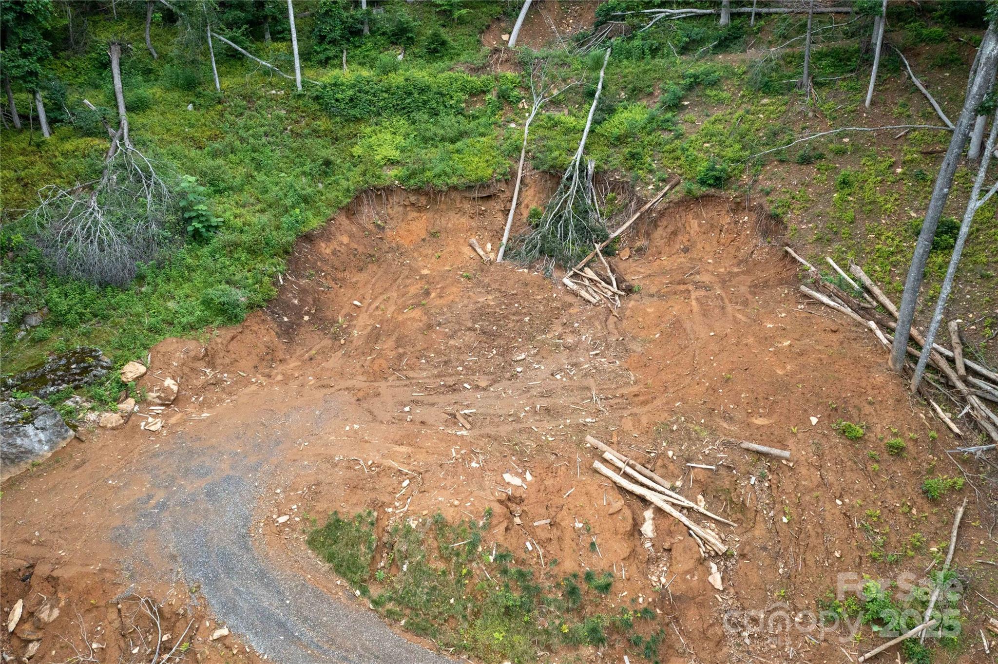 Mount Mitchell Lands - Land