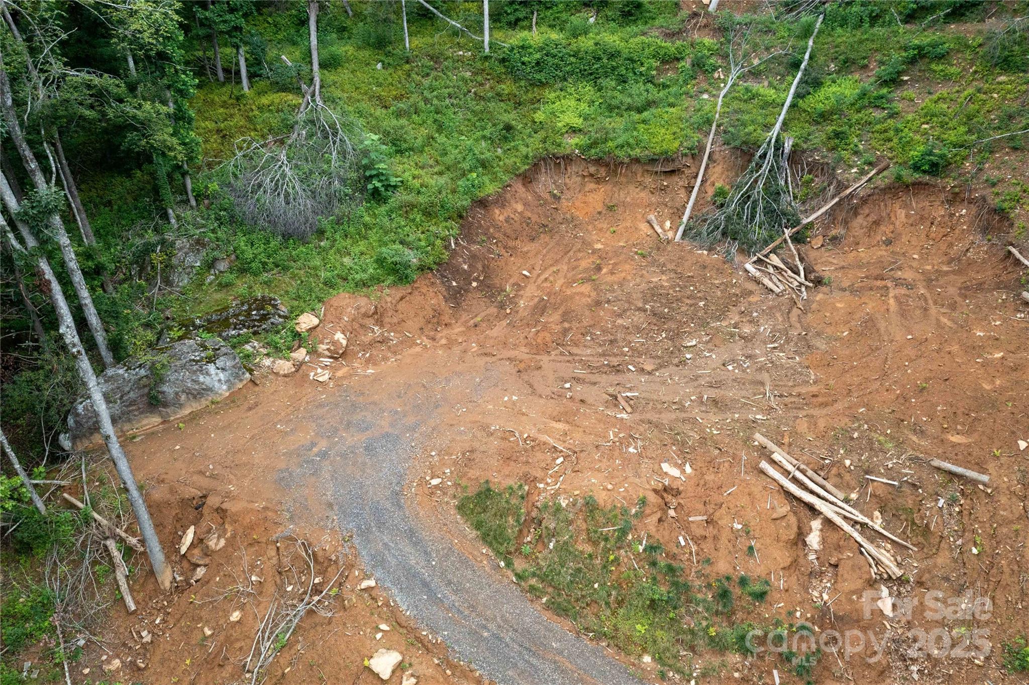 Mount Mitchell Lands - Land