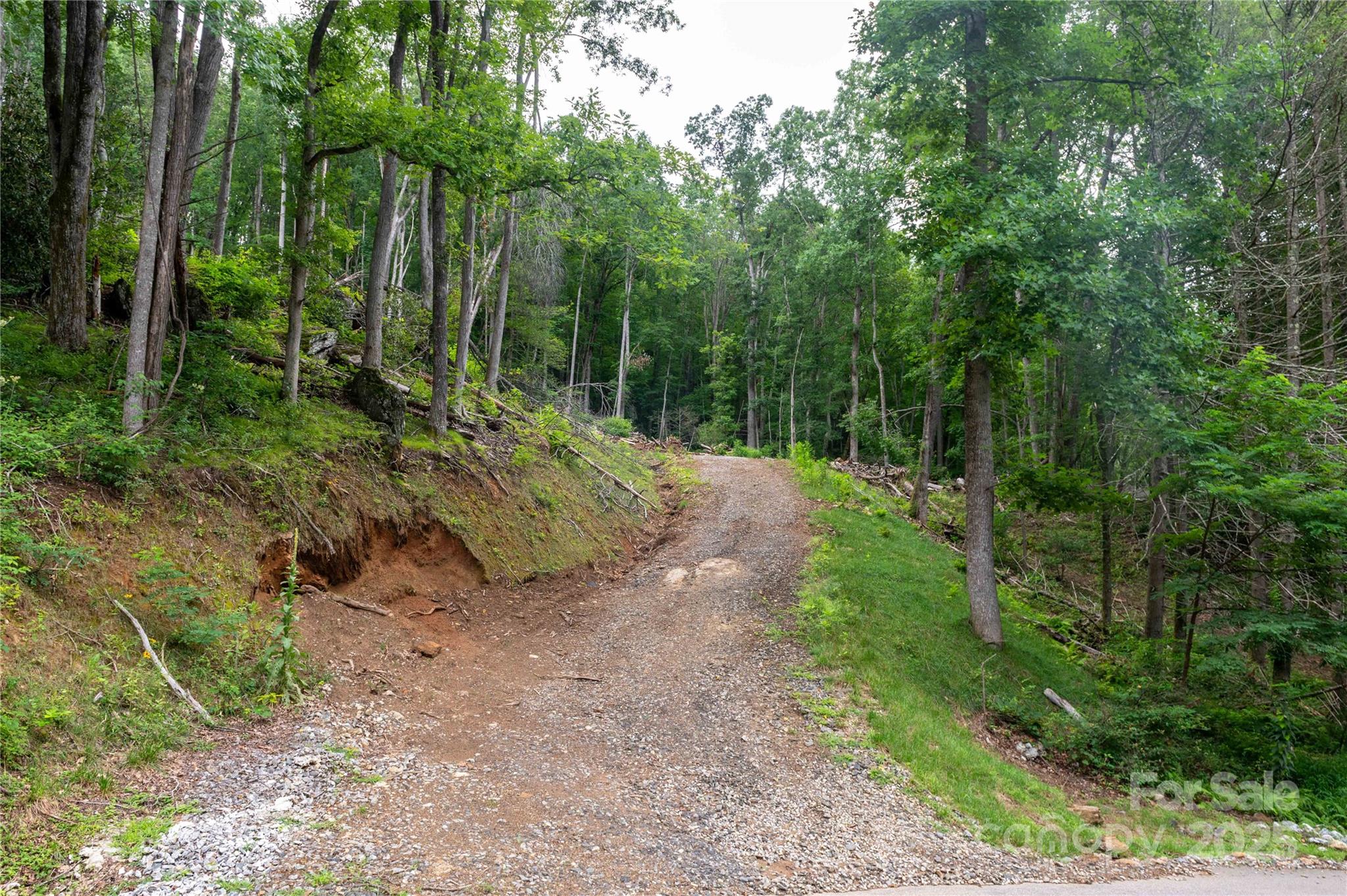 Mount Mitchell Lands - Land