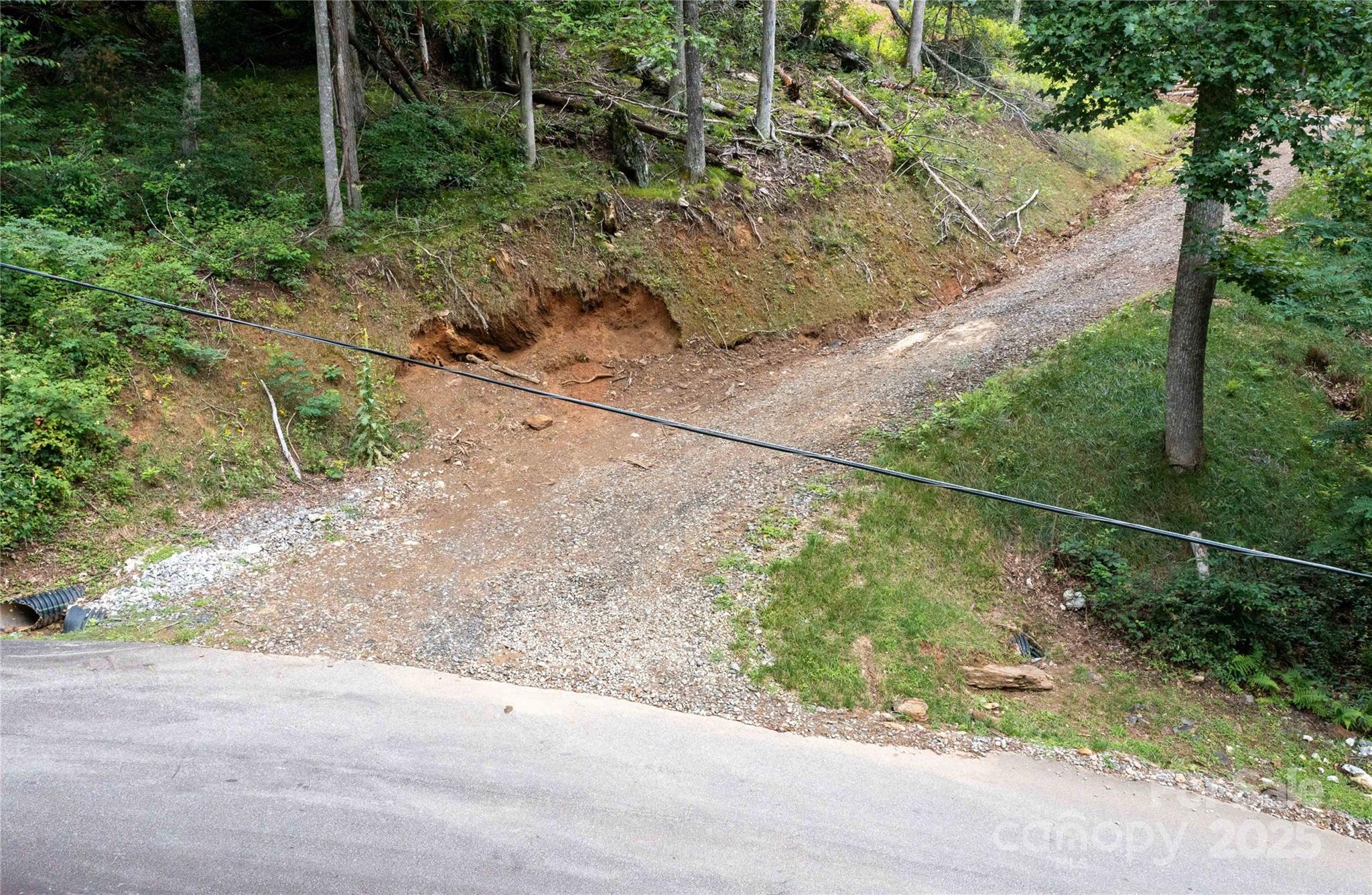 Mount Mitchell Lands - Land