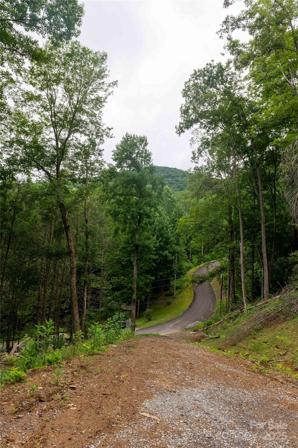 Mount Mitchell Lands - Land