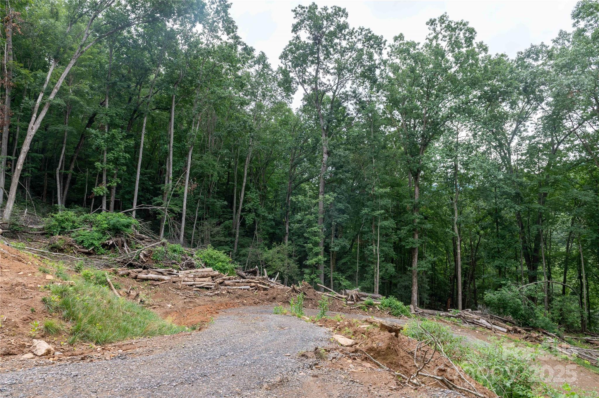 Mount Mitchell Lands - Land