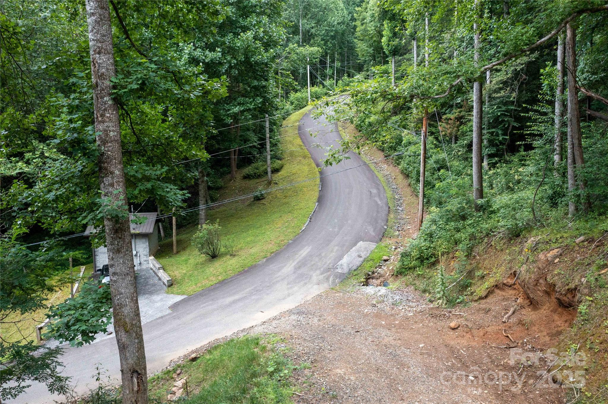 Mount Mitchell Lands - Land