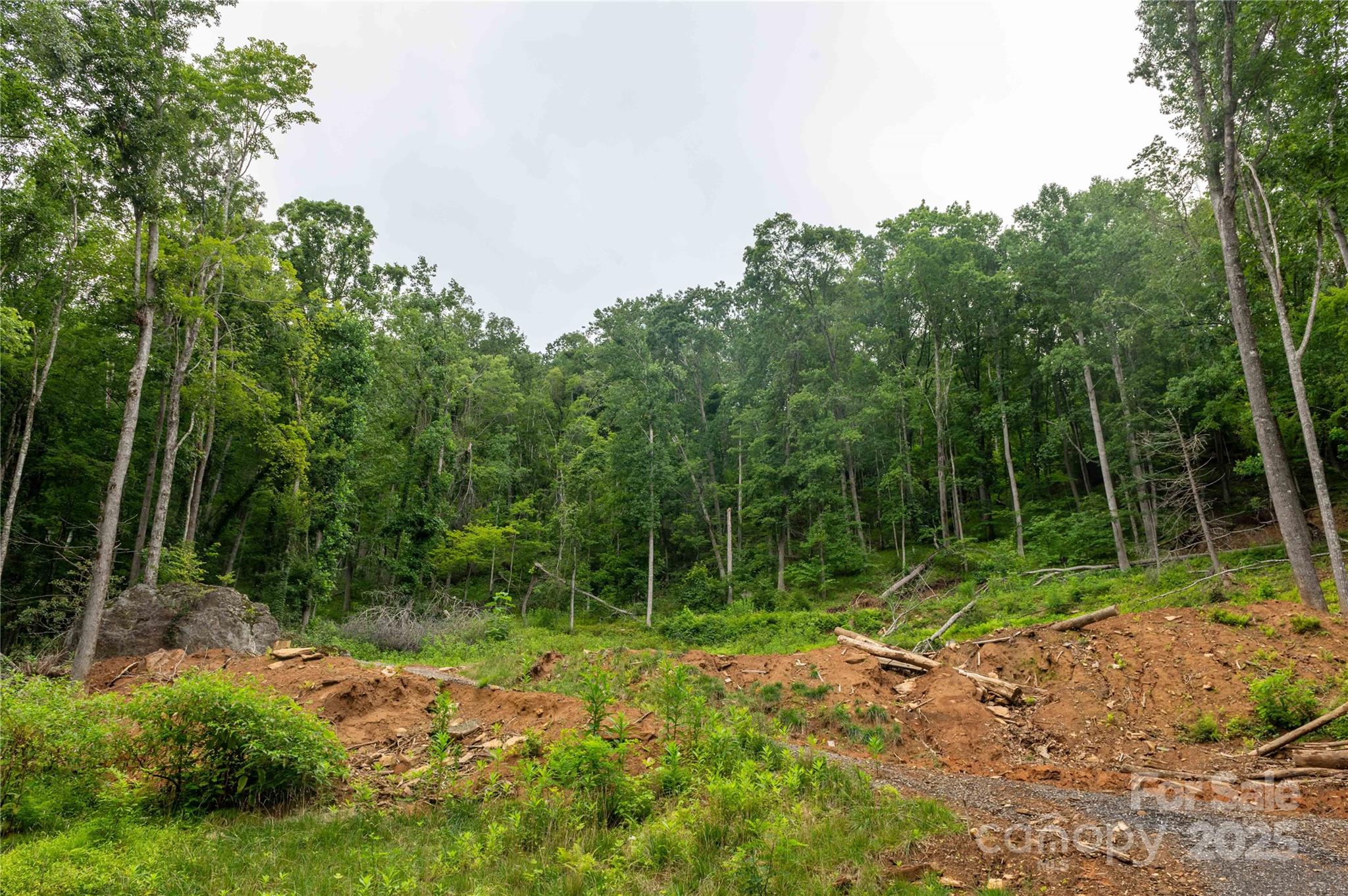 Mount Mitchell Lands - Land