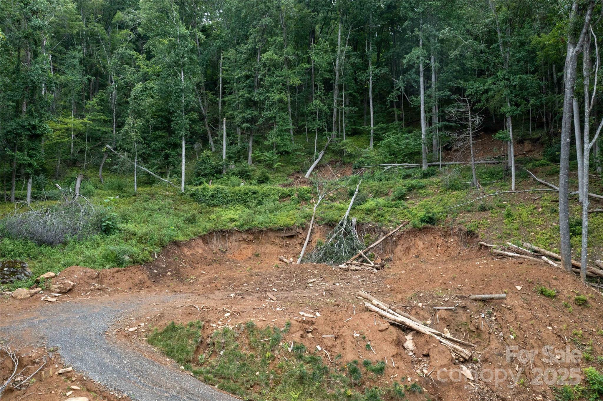 Mount Mitchell Lands - Land