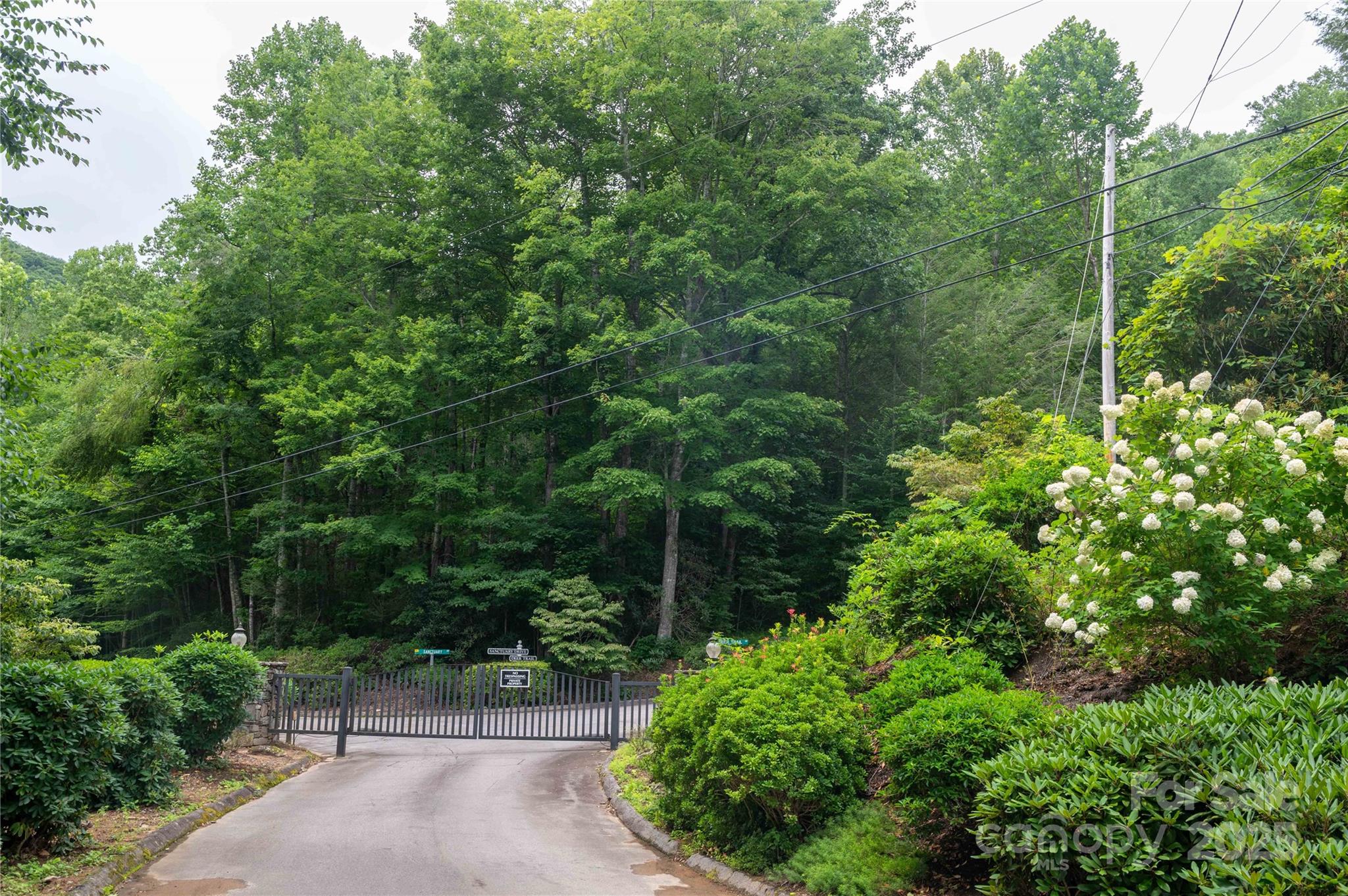 Mount Mitchell Lands - Land