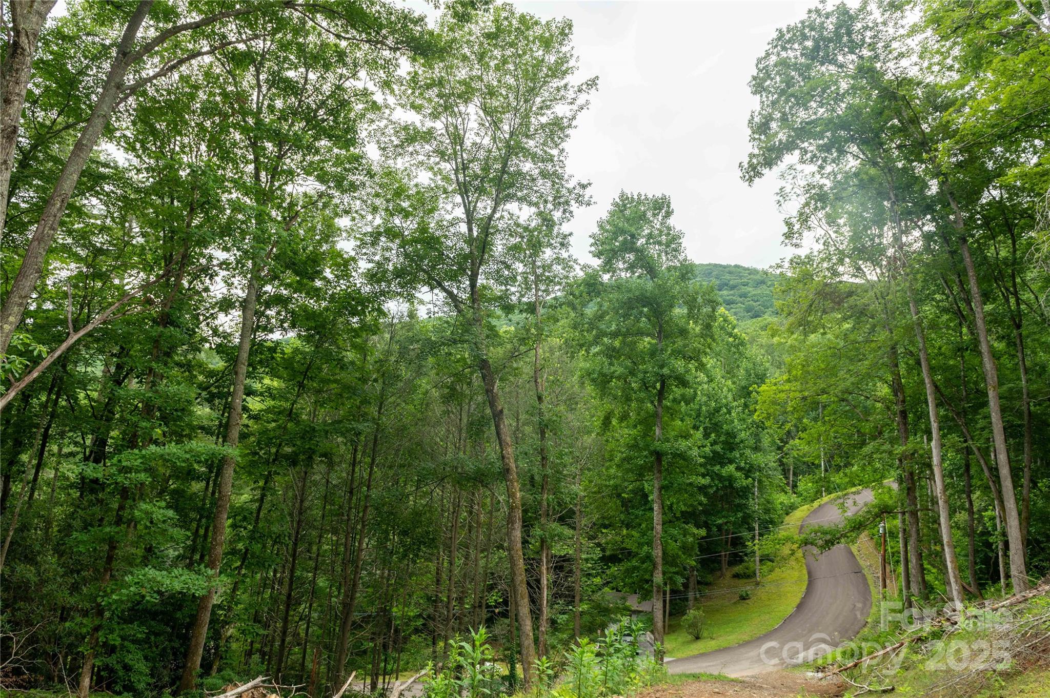 Mount Mitchell Lands - Land