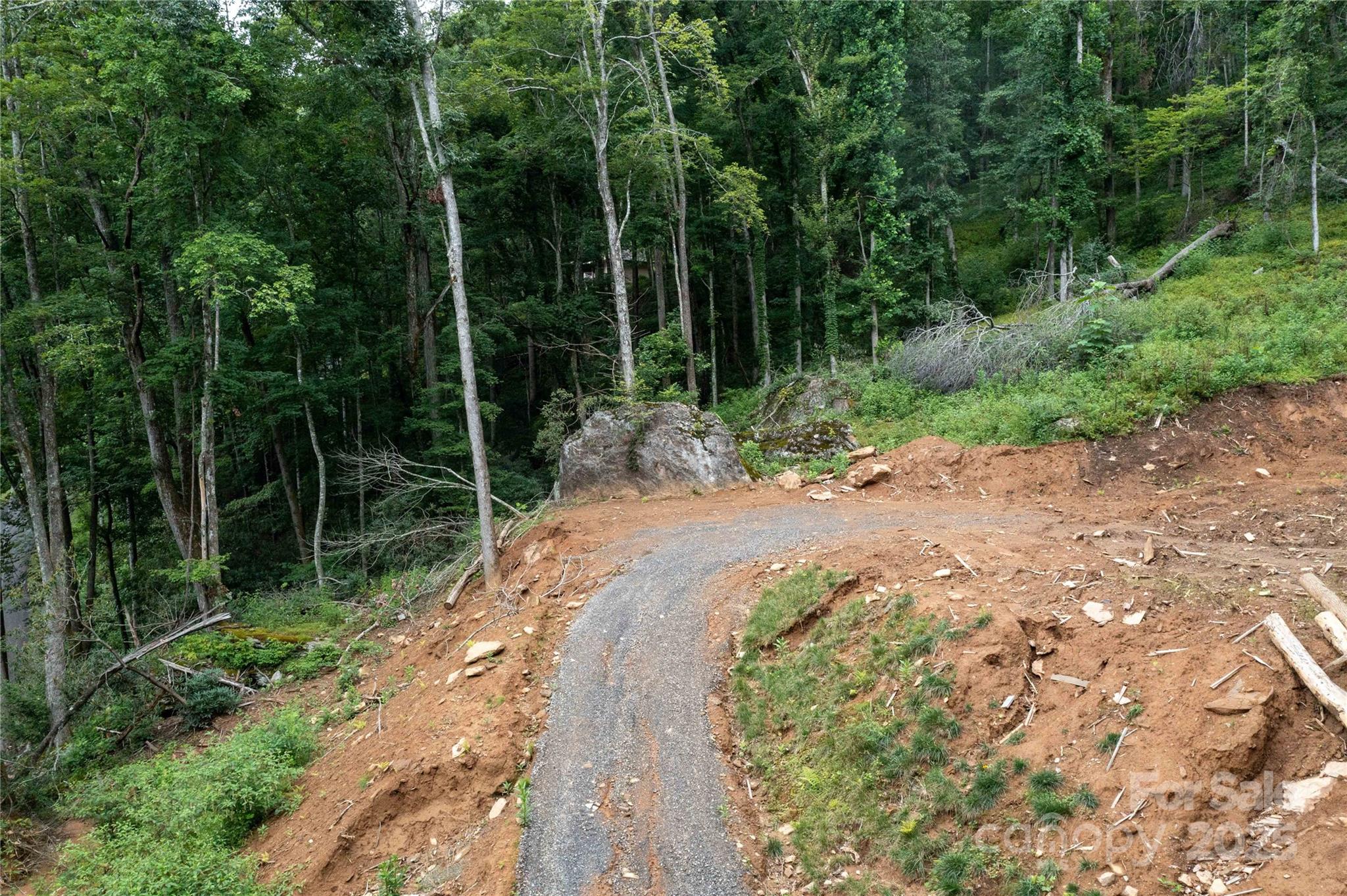 Mount Mitchell Lands - Land