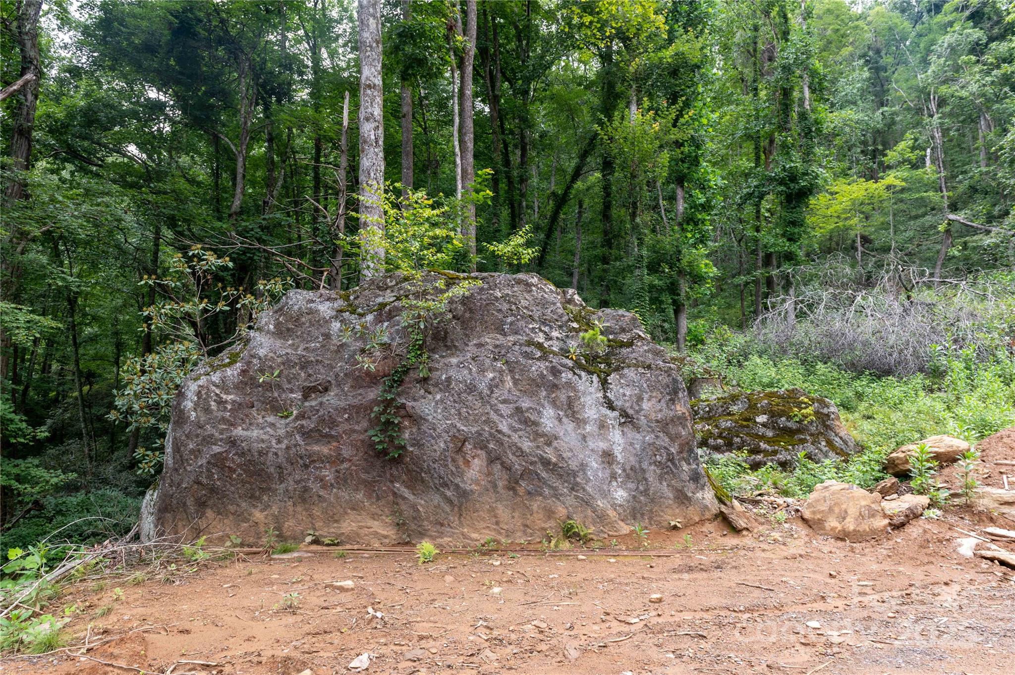 Mount Mitchell Lands - Land