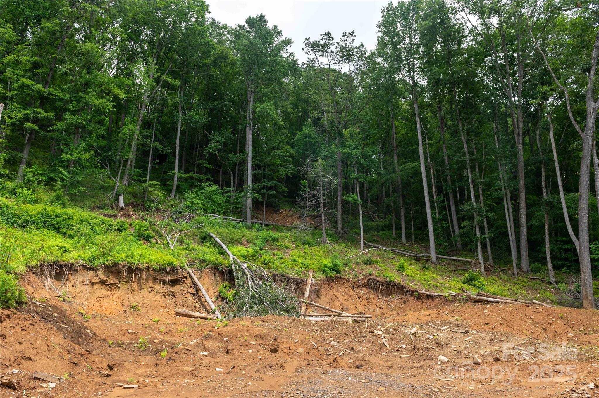 Mount Mitchell Lands - Land