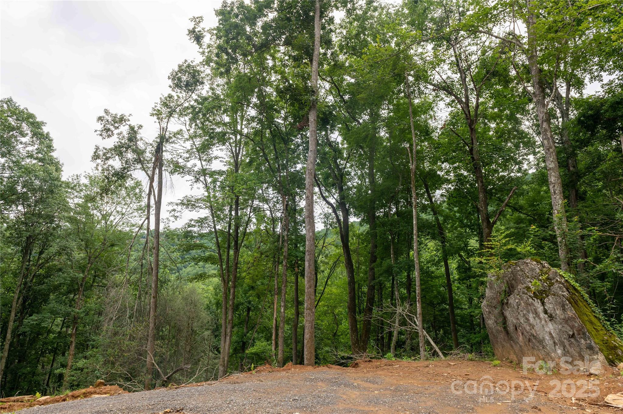 Mount Mitchell Lands - Land